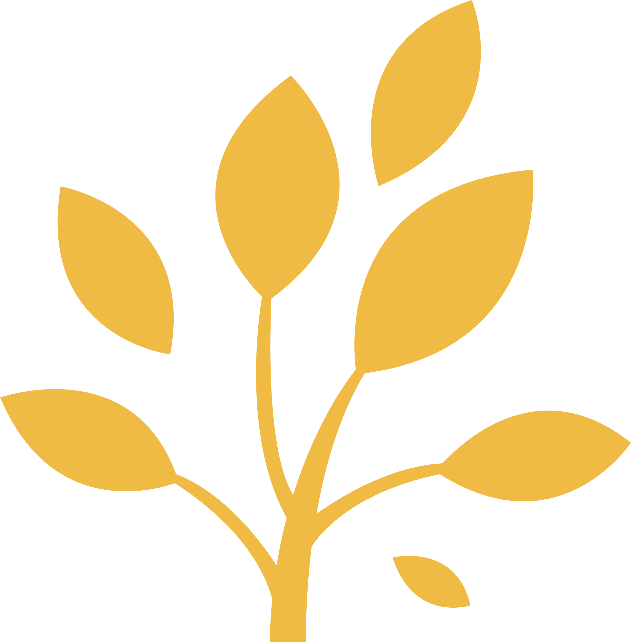 Asamblea Nacional se incorpora a red parlamentaria sobre China